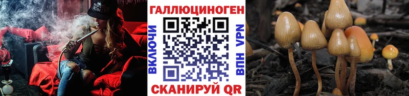 Псилоцибиновые грибы мухоморы  закладка  Гдов 